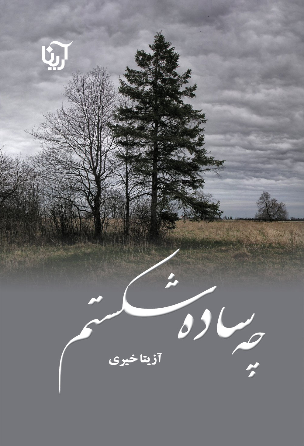 چه ساده شکستم(دو جلدی)