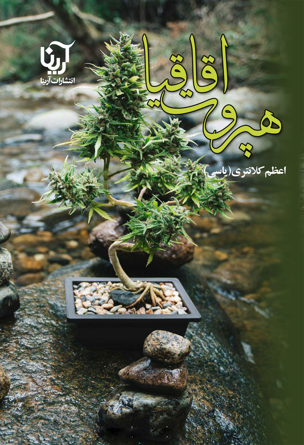 هپروت اقاقیا